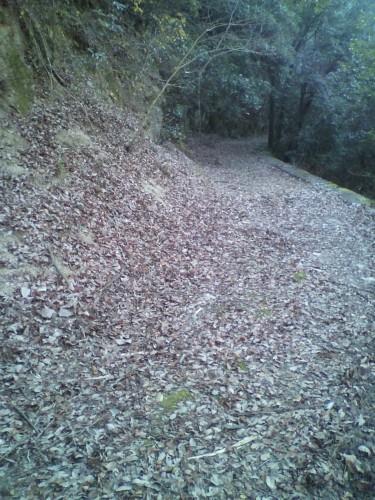 作業前の山道