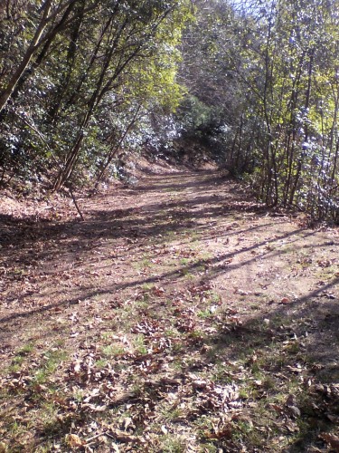 作業後の山道