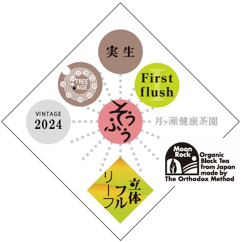 【地紅茶サミット】そうふう実生　30ｇ