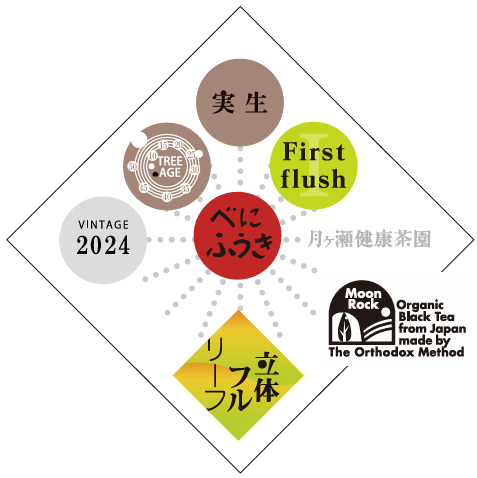 【地紅茶サミット】べにふうき実生　30ｇ